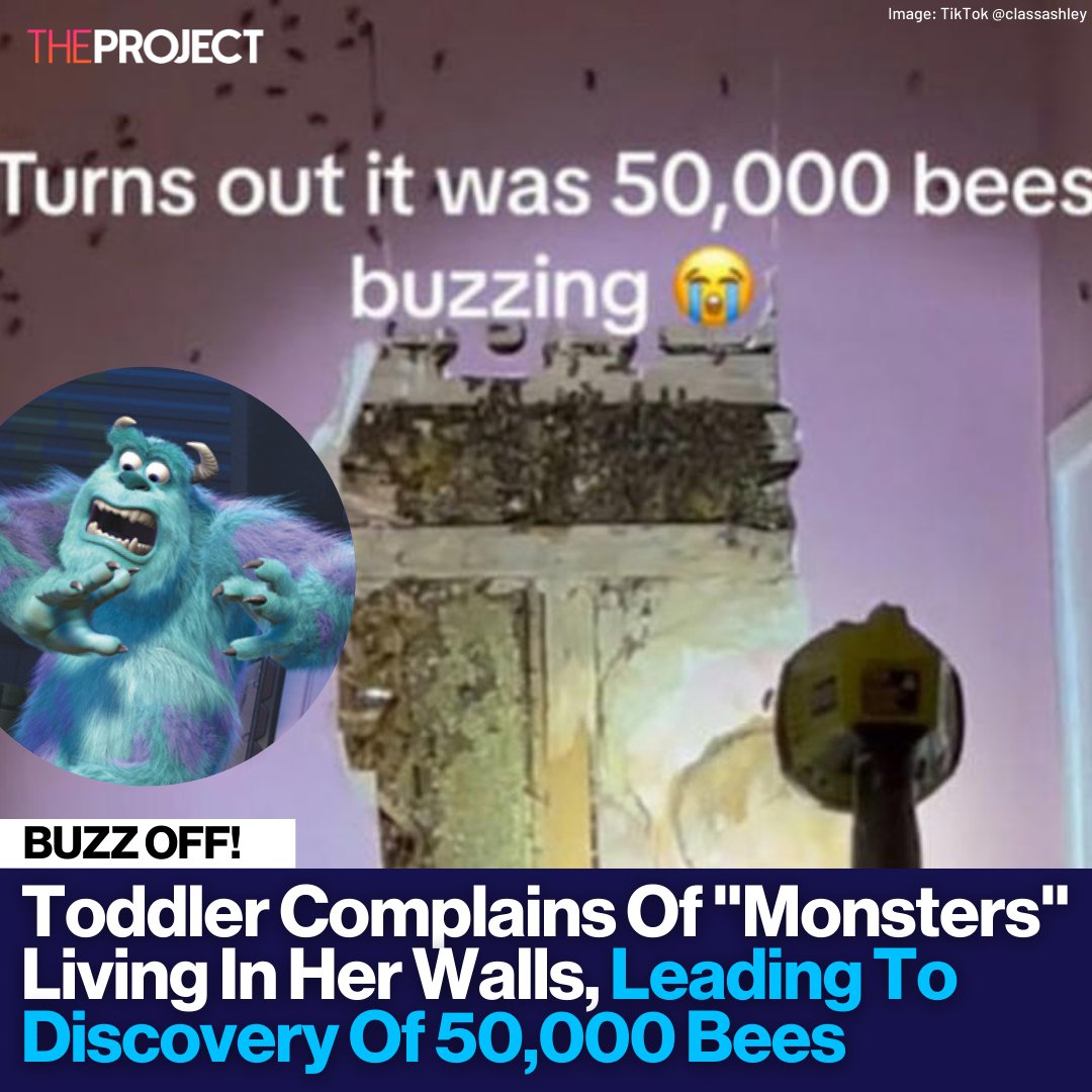 One woman was left stunned after discovering 50,000 bees in the walls of her family home, with an enormous hive found in the spot where her daughter had complained of hearing a monster.

brnw.ch/21wJl5F