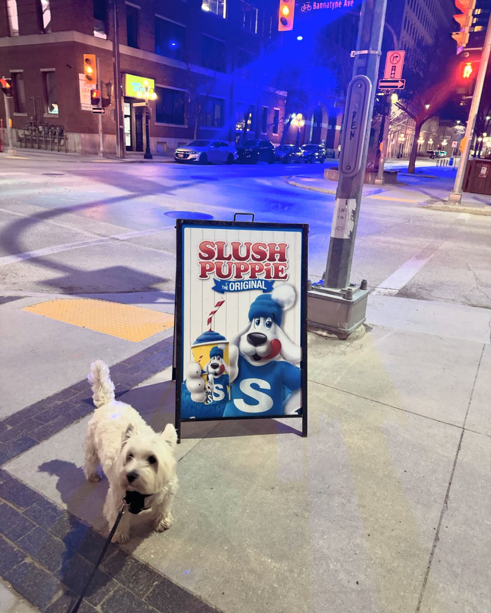 Slush Puppie season has commenced in the @Ex_District_Wpg 🐕🥤🙌🏾 #slushies #spring #community #dogs @AshdownMarket