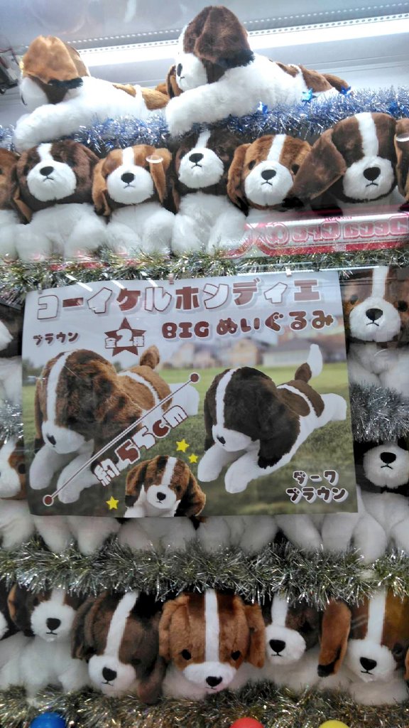 🌸プライズ入荷情報🌸》 新プライズ入荷致しました💙 「コーイケルホン