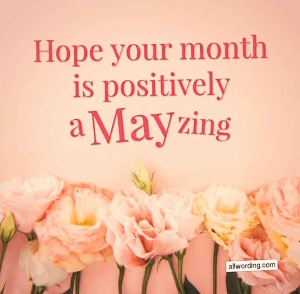 hope122333's tweet photo. #MayIsHere 💐 https://t.co/n1no7NnPV9