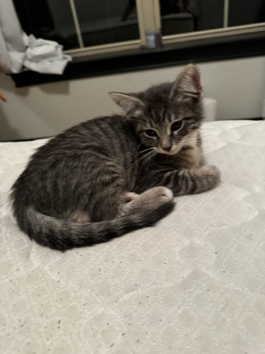 Character development