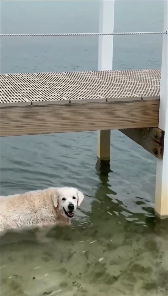 @TheGoldenRatio4 😍🥰🤍