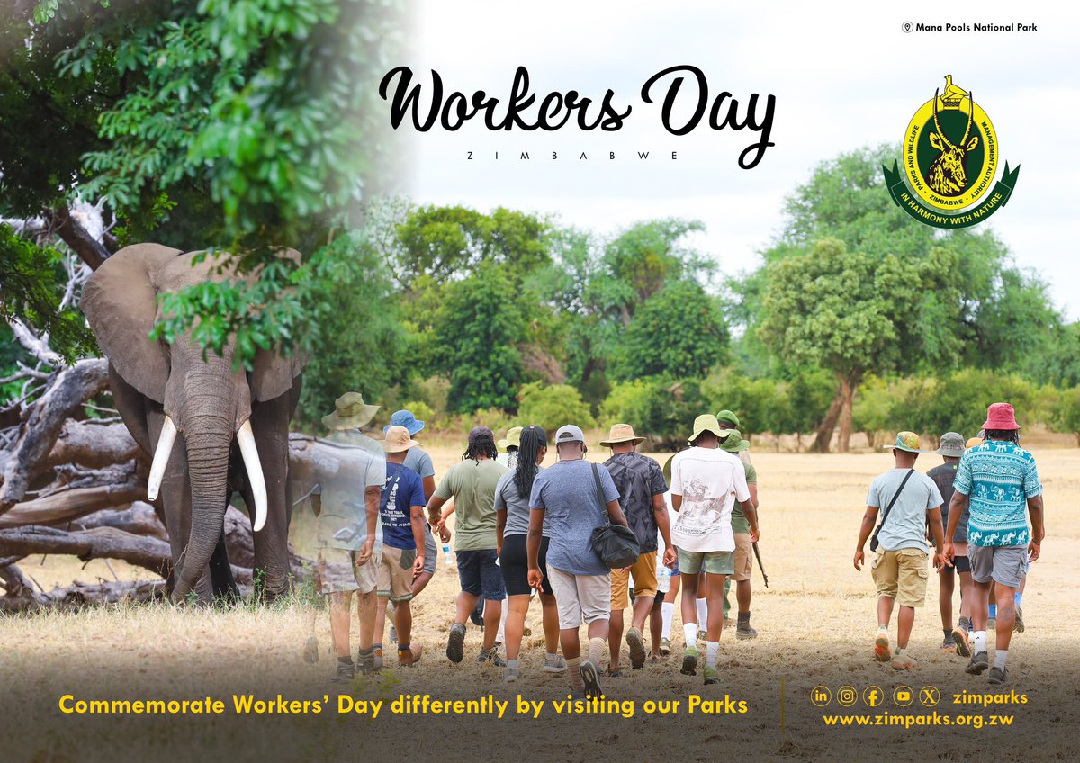 As we join the rest of the nation in commemorating International Workers’ Day, celebrate adventurously this year by visiting our parks. #InternationalWorkersDay #inharmonywithnature