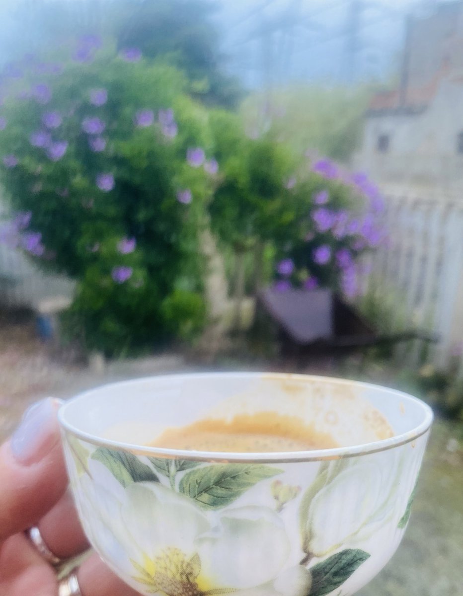 Giardino, silenzio e caffè 
La pace … 🌸

#BuongiornoATutti