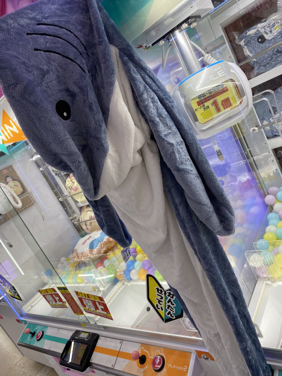 サメの着ぐるみブランケット入荷しました🦈170cmあるので大人が入れ