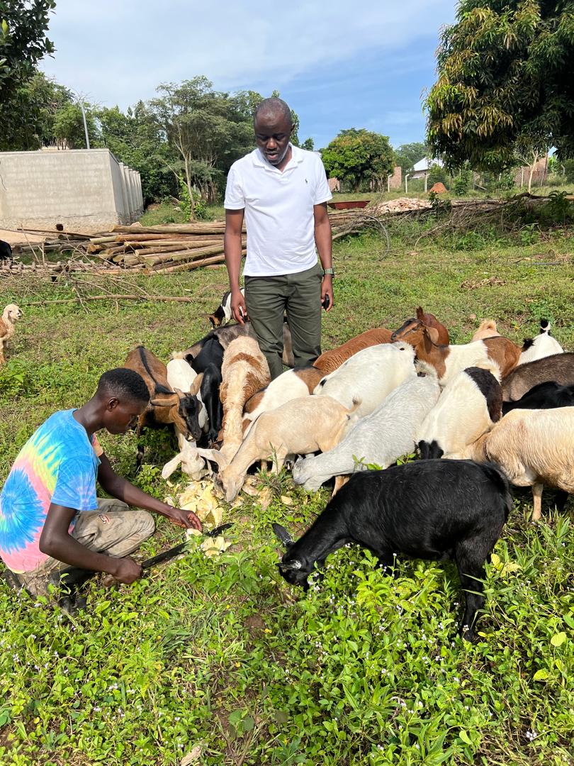 Amidst my commitment to safeguarding peace for Ugandans, I also devote time to tending to a small herd of goats to support my income. HAPPY LABOUR DAY to all Ugandans, with special recognition to those who contribute through diverse forms of labor🙏