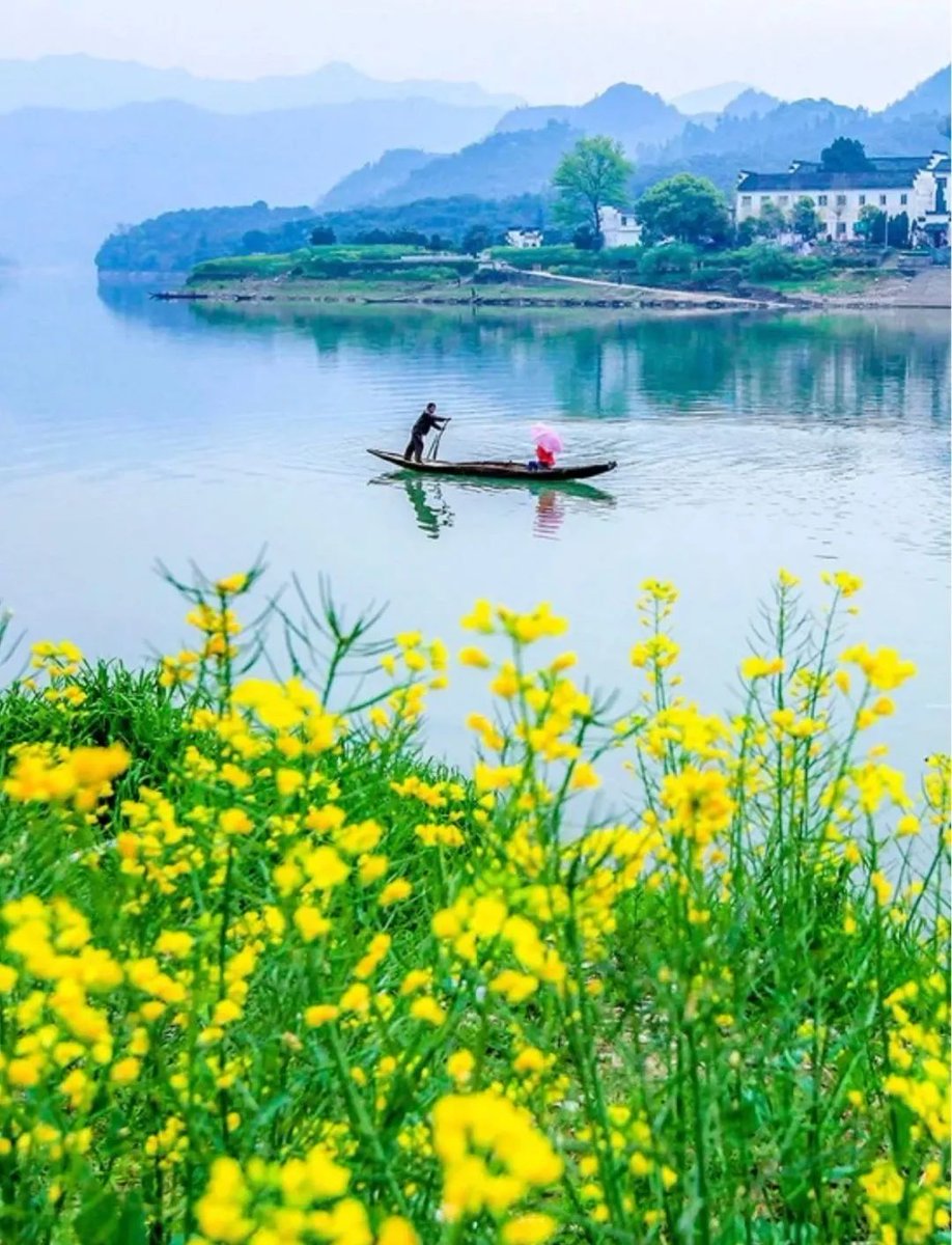 The wonderful May Day holiday has begun.🌿🌸
#HappyWednesday
#NaturePhotography