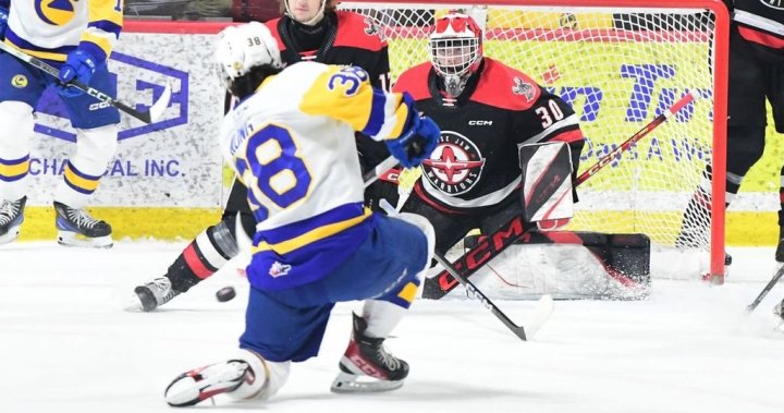 Unger stars for Moose Jaw Warriors taking 2-1 series lead over Saskatoon Blades dlvr.it/T6FfYl #GlobalRegina