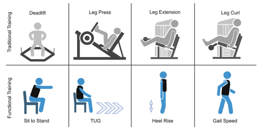 Can traditional resistance training improve functional task performance in older adults?

Or is more “task-specific” training required?

Here, 6 weeks of traditional resistance training improved dynamic (5-RM) strength, but had limited carryover to functional task performance