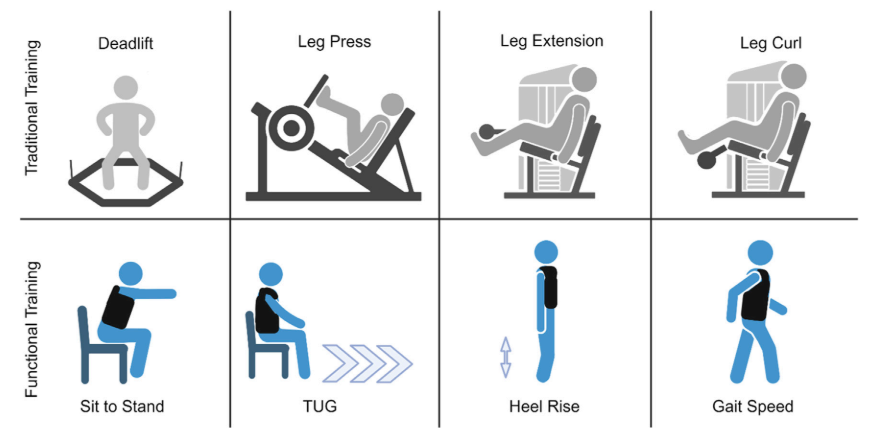 Can traditional resistance training improve functional task performance in older adults? Or is more “task-specific” training required? Here, 6 weeks of traditional resistance training improved dynamic (5-RM) strength, but had limited carryover to functional task performance…