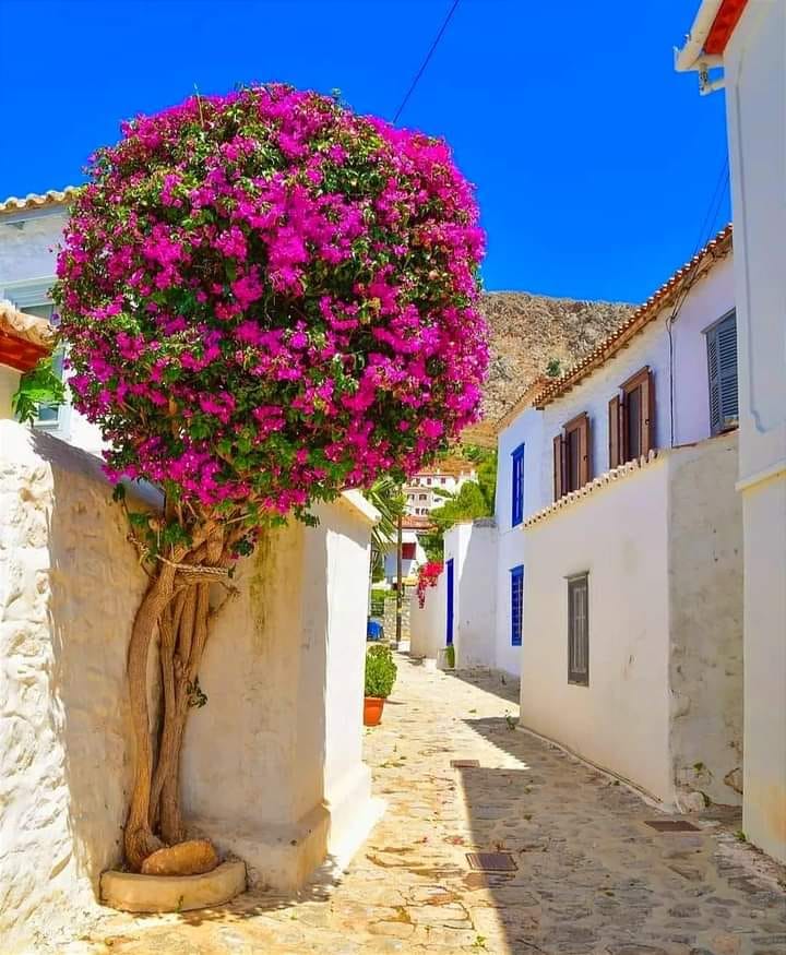 Hydra Island, Greece #Europe #travel