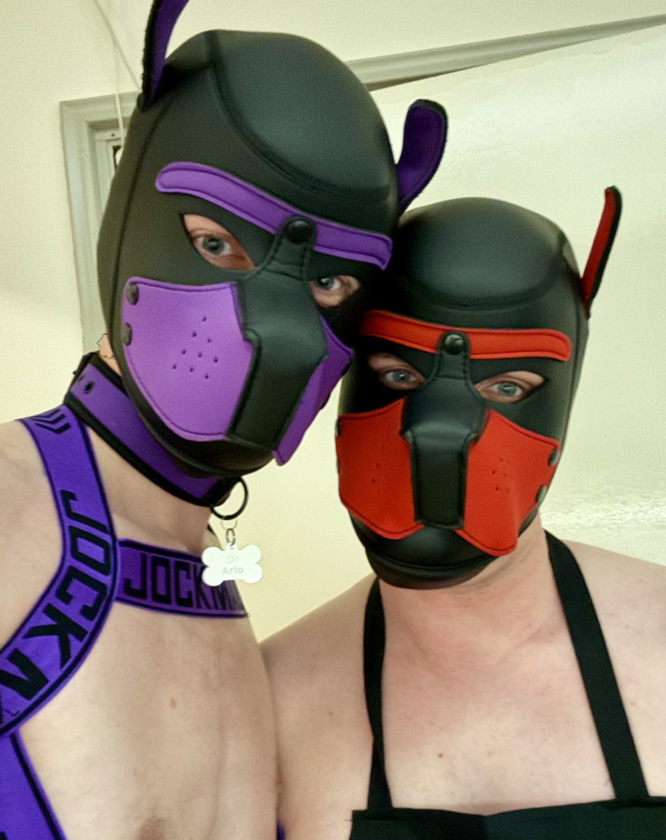 puparlo90's tweet photo. Goowd morning!! Have yourself a woofderful day! 🐶💜💚
#Pup #dutchpup #PuppyPlay #gaypup #PupPlay #humampup https://t.co/FcdRfVwpvd