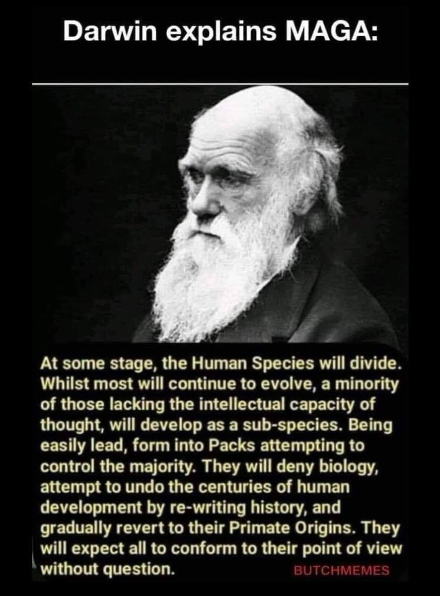 @Boemmelbaer @SoldierofResist @knifepoint100 Sweetie, 149 IQ, been vegetarian for decades. No bovine growth hormone, estrogen (used to fatten cattle), or antibiotics in my food. No prions. Healthy AF 100/70 BP, 98% oxygen saturation. I'm in my 60's, yet no old age meds. Nice try