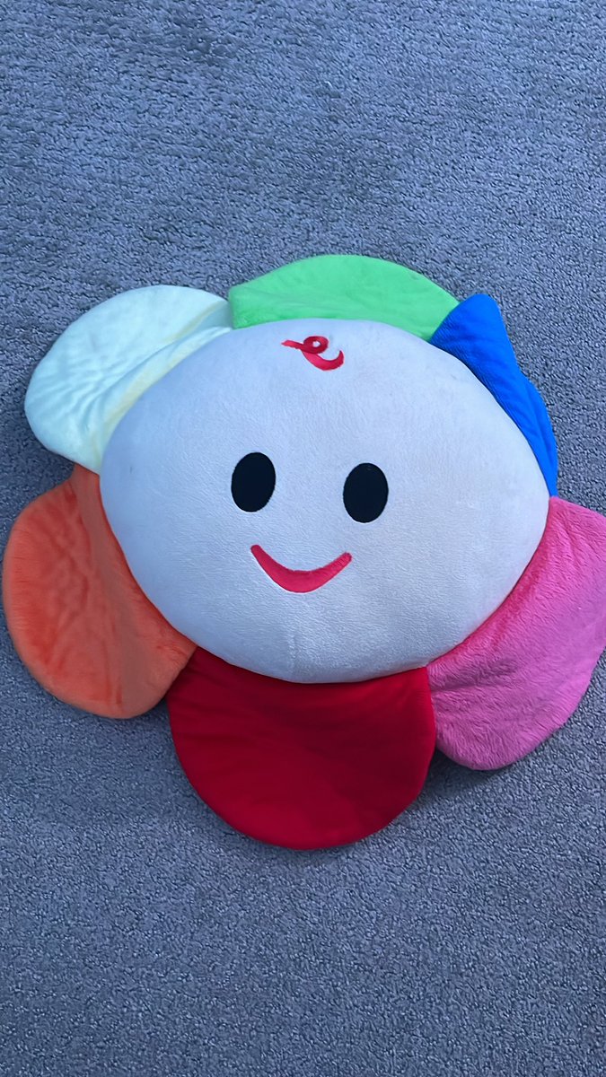 Hi i own this rare babyfirst blossom plush from 2013 :)
I think BFTV should repro these w the current blossom design I would buy the heck out of them plus there’s a small fandom who would buy them :)
Heck even do one of the 2006 blossom :)