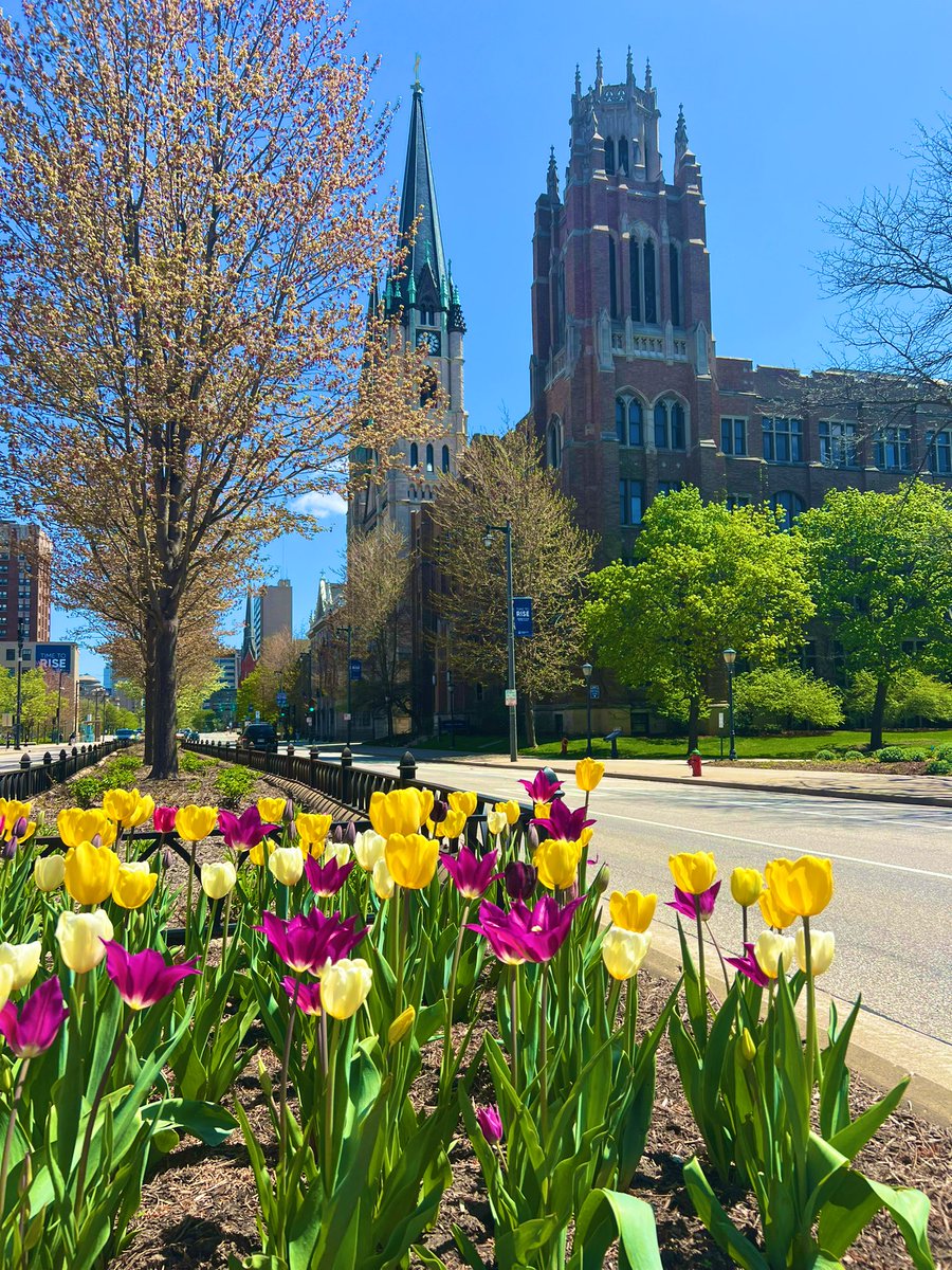 Nothing like spring at @MarquetteU 🌷 #mostbeautifulcampus