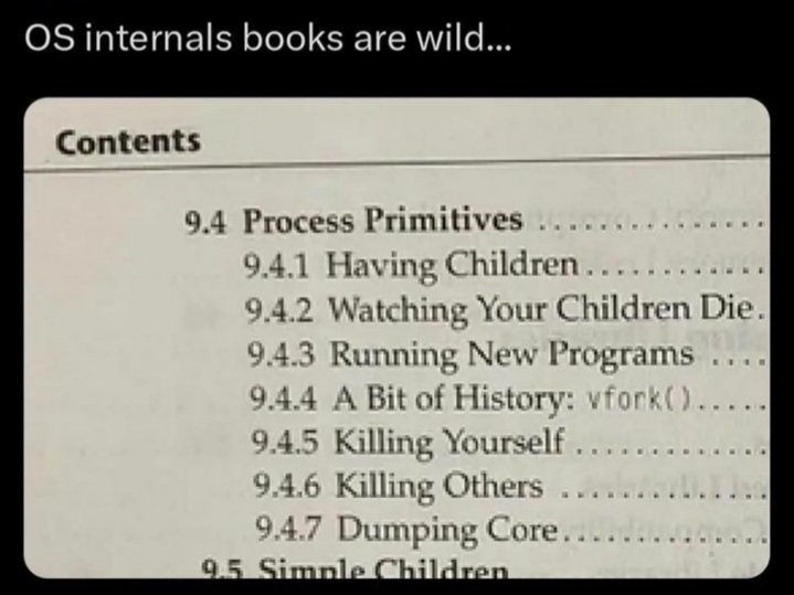 ProgrammersMeme's tweet image. I hope no one sees me reading this.