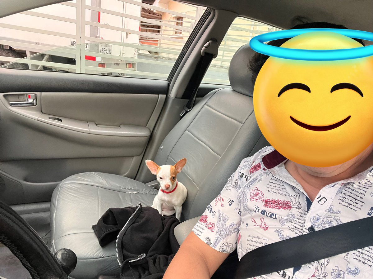 diegoquintuna's tweet photo. Le digo que acepto la “torpe” decisión, y que por favor me den una alternativa para dejarle a mi destructiva Sol, claro encerrada en su bolso a que no cause ningún destrozo, y me dicen que no tienen ninguna, que le dejara en el carro. Aquí les adjunto foto de la destructiva Sol https://t.co/63jZJKQIe4