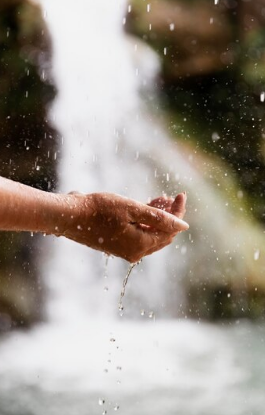 A diferencia de otras cadenas de producción animal, como la ganadería y la porcicultura, la avicultura es menos intensiva en consumo de recursos naturales, especialmente en cuanto a agua.