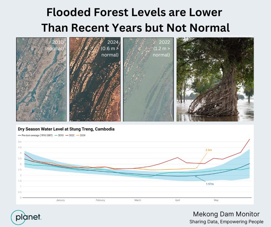 Correction from last week: @Ian_G_Baird reached out to clarify that river levels are lower than recent years, but not normal in the flooded forest. Still worth studying how much more damaging 2022 levels are compared to current 2024 levels. More soon... Here's the proof: