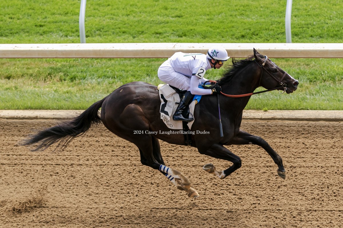 I don't get to shoot from the press box much, so when i get a super nice, clean shot like this one, I stare at it and just feel happy about it. . Mullikin (Violence) and #FlavienPrat win an allowance for @BrissetRodolphe and owners @SienaFarmKY and @WinStarFarm . @racing_dudes