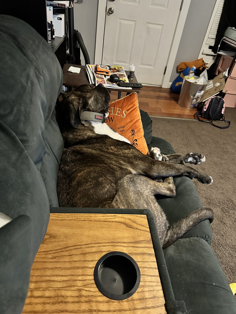 catramihgo's tweet photo. Stinky in his natural environment, it’s like having a full grown man living in my house🥲😂 https://t.co/0nPVRyjP5h