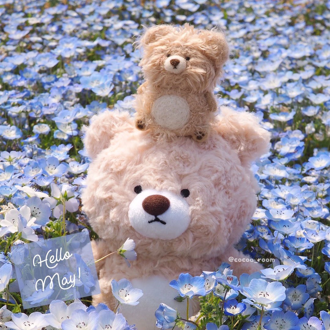 cocoa_room's tweet photo. Hello May🌷
5月もよろしくお願いします🧸 https://t.co/U9De02zrJ3