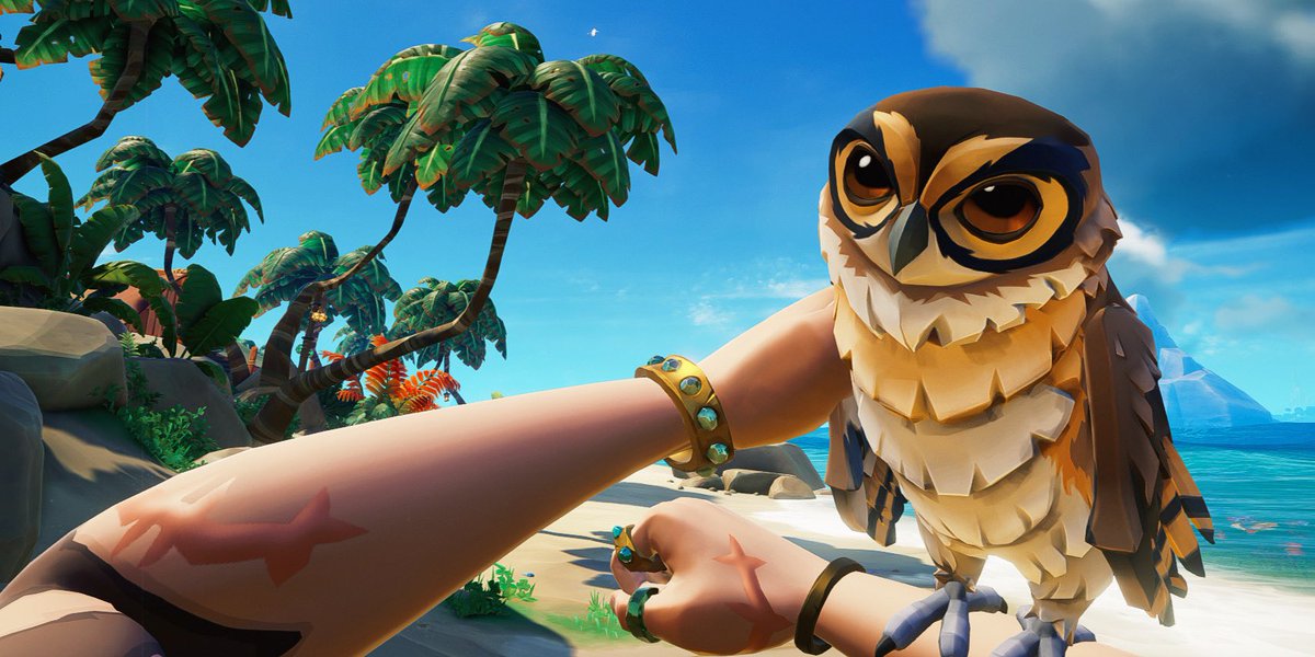 Her name’s Athena and it’s *her* fortune.🦉 #SeaOfThieves #SoT #ShutUpOwlet