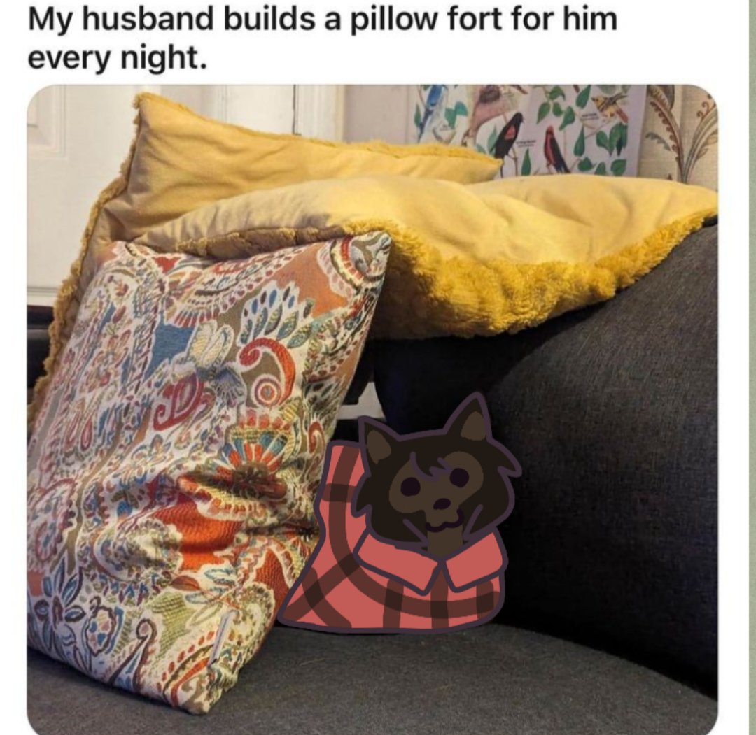 Pillow fort
#marblehornets #timwright
