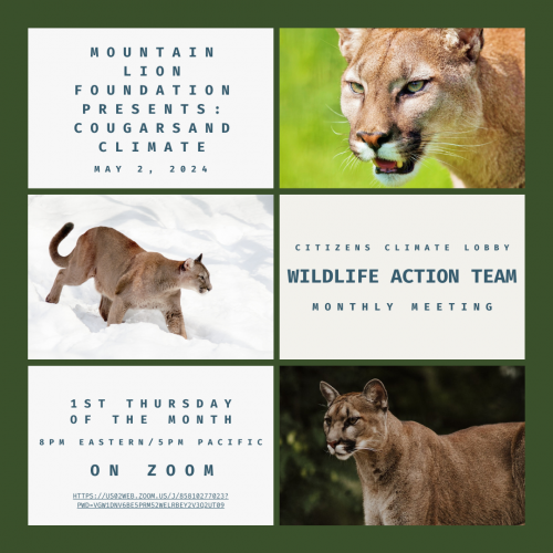 T Todd Elvins 🏄 (@ttoddelvins) on Twitter photo 