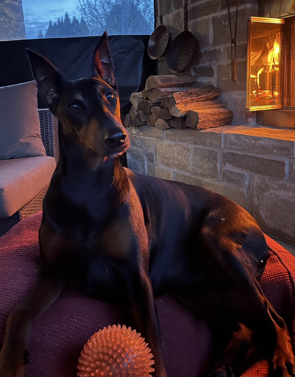 “Bruh… who’s that talking now? You listening to another #cannabis related space on X??”