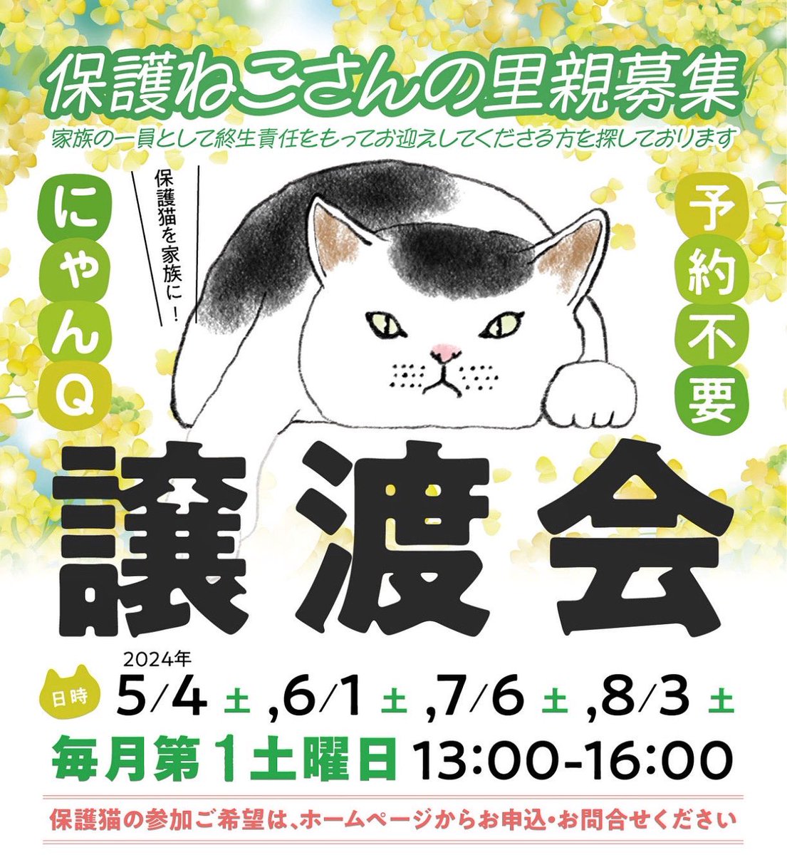 🐈にゃんQ譲渡会のお知らせ🐈

5/4(土)13時〜16時
場所:のらねこさんの手術室（池田）

連休中ではありますが
20匹ほどの保護猫さんが参加します❗️
保護猫を家族に💜
皆様のお越しをお待ちしています。

#譲渡会 
#保護猫 
 #にゃんｑ譲渡会 
#にゃんq事務局 
#保護猫を家族に 
#のらねこさんの手術室