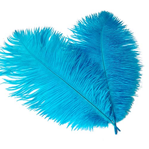 I just received Sowder 8-10inch(20-25cm) Ostrich Feathers Plume for Wedding Centerpieces Home Decoration Pack of 10pcs(Turquoise) - 8-10 inch - Turquoise from captainvett via Throne. Thank you! throne.com/dearlyyu #Wishlist #Throne