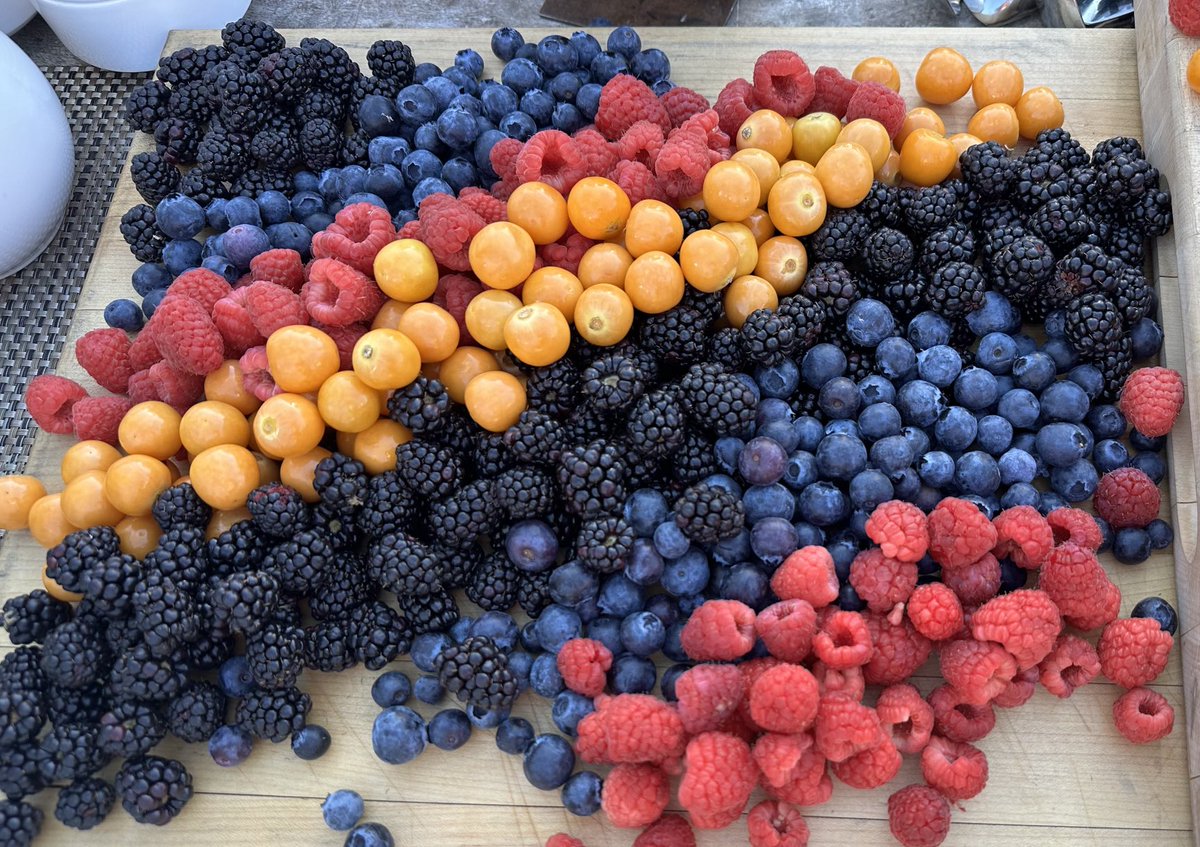 #sponsoredevent - @sunbelleberties #Belleoftheball Berries so very delicious, nutritious - petite sweets with flavor that can’t be beat! Eat alone, add to a smoothie, salad, enhancing and dish or snack or amplify with a dip! #Producehacks #sunbelleberries #HaveaPlant #CCC2024