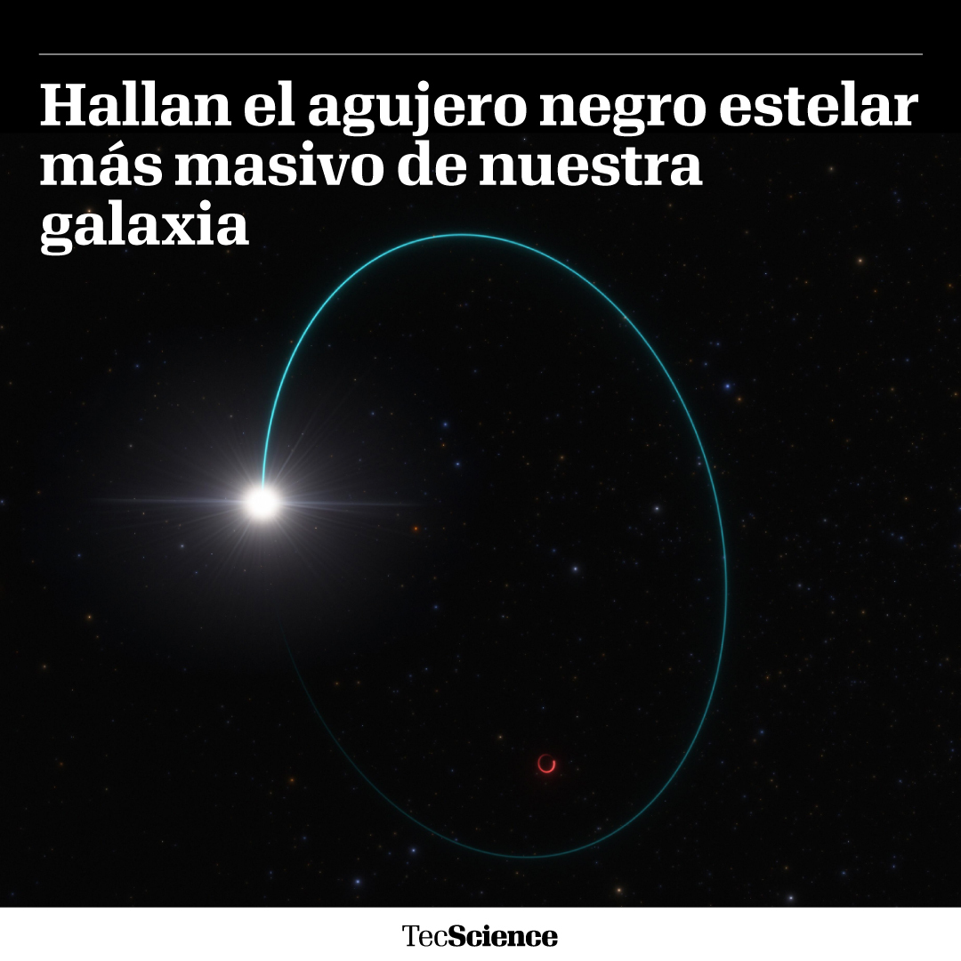 🌌 Un colosal agujero negro fue sido descubierto a 2,000 años luz de distancia de la Tierra, en la constelación de Aquila. Asombrosamente, el agujero BH3 es 33 veces más grande que nuestro Sol, y el segundo agujero negro más cercano encontrado en la Vía Láctea.
📷 Reuters