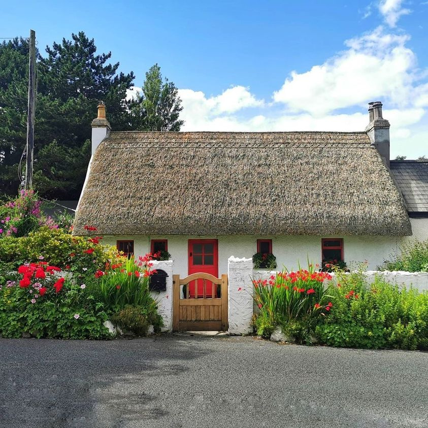 With the red roses matching the front door 🌹❤️... We think we've found our new dream home!
Thanks to @sharonlongphotos for this gorgeous snap of a traditional thatched roof cottage in Malahide, County Dublin.

County Dublin Ireland things to see and do lovetovisitireland.com/county-dublin-…