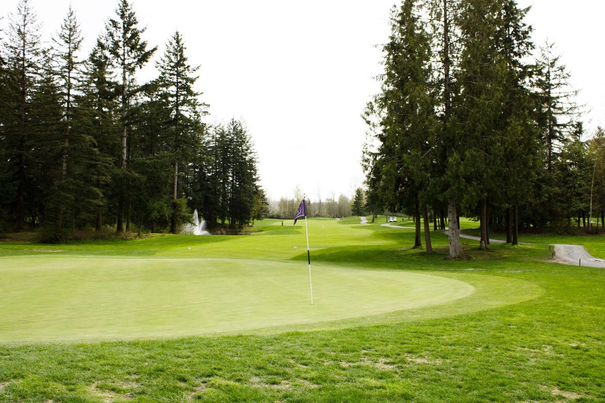 A cloudy view from behind the green on number 4. If you're a regular, you know that going right off the tee will find water more often than not, but have you played this hole down the left? 

#greenteegolfcc #golfcourse #vancouvergolf #bcgolf #teetime #springgolf #langleybc