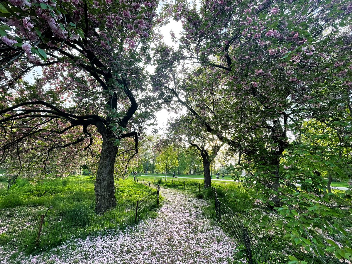 Landscapes @CentralParkNYC