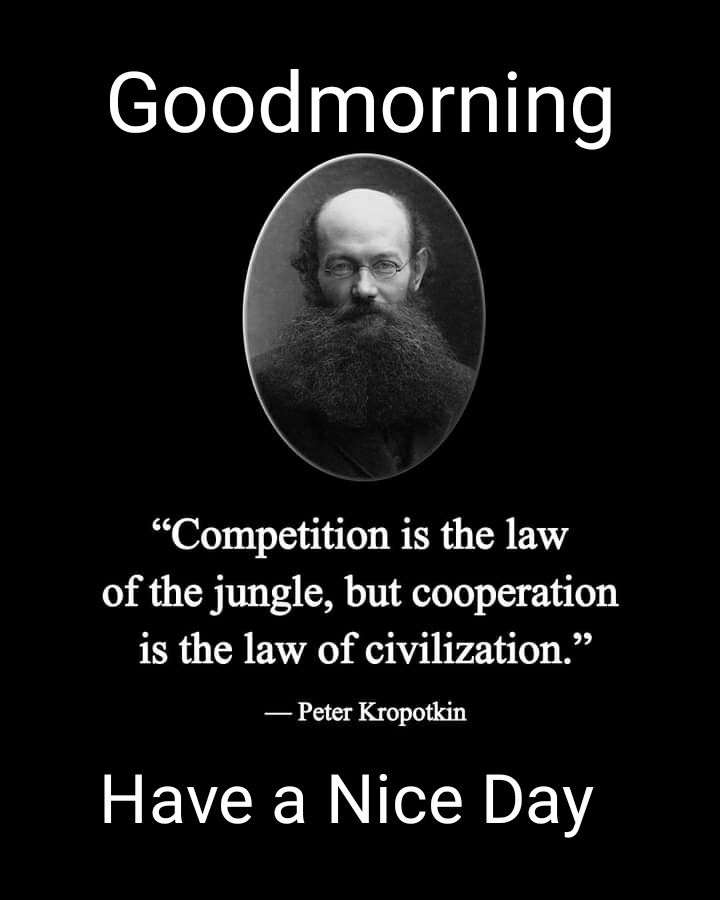 mohan_tripathi's tweet photo. Good morning . https://t.co/Zbudjh7Av5