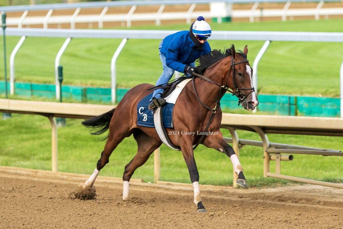 Multiple Graded Stakes winner #GinaRomantica (#IntoMischief) works five furlongs in 50.80 at @keeneland for trainer #ChadBrown on April 26. The mare was most recently 7th in the G1 Jenny Wiley Stakes on April 13.