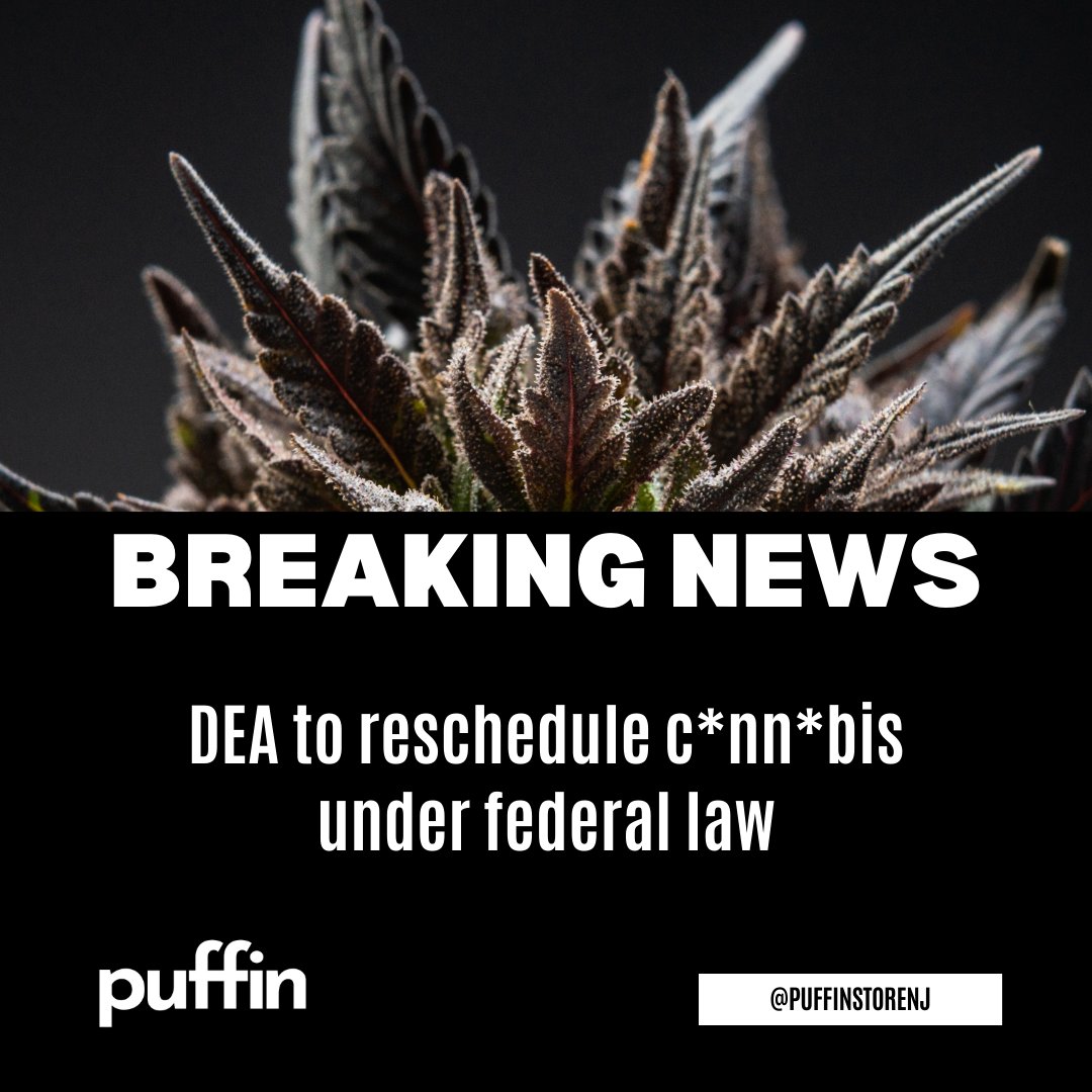 🚨 Exciting News Alert! 

🌿 The DEA has agreed to move c*nn*bis from Schedule I to Schedule III, marking a historic shift!

#PuffinStoreNJ #PuffinNJ #PuffinNewBrunswick #NewBrunswickNJ #BreakingNews
