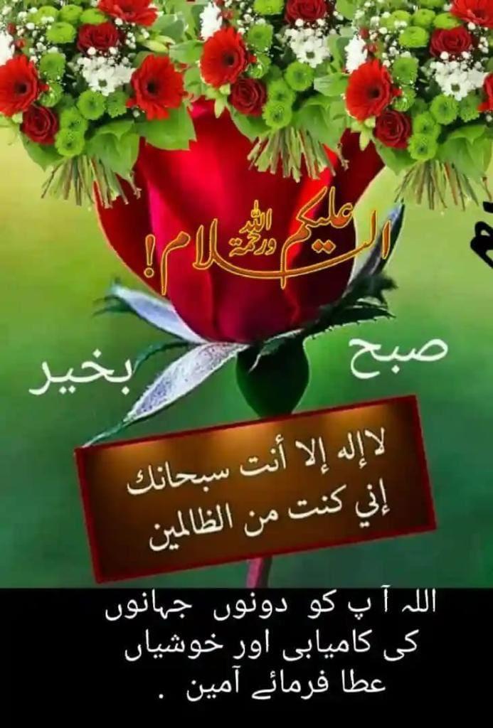 Assalamualaikum 💝💝 Good morning 🌅 X friend 💐💐 Will you reply my salam 🔙