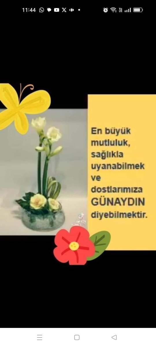 Günaydın hakperest insanlar. Emek ve dayanışma gününüz kutlu olsun. 👷‍♂️😀🙋☕🙏🌻🧹🤔🤲🍬🫧💆‍♂️🍁🌅🌄🏞️
#EskiUzmanÇavuşlar
#KademeTalepDegilHaktır
#Staj
#DolarTL
#Prens 
Melih Gökçek Bankamatik Kim Min Jae