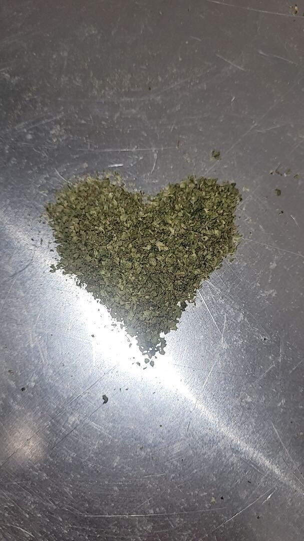 Love is all you need 
Manna love 💚🌱

📸 cred: Hanna 💚

#MANnaUp #cannabiscommunity #mississsippigrower #growlife #WITHLOVE #medicalcannabis #naturalmedicine
*21+, nothing is for sale on this post*