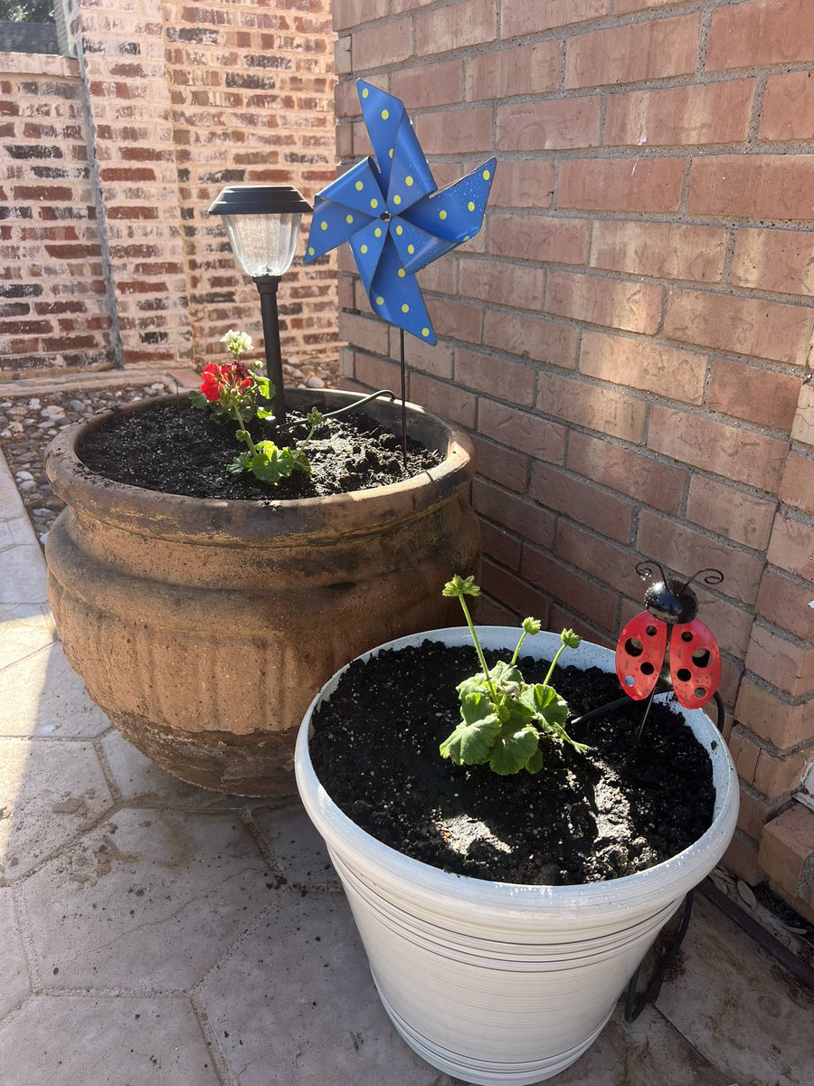 LTavarezECISD's tweet photo. Every spring I wait for our #teamECISD CTE students to host their annual Career & Technical Education Horticulture plant sale & it’s always worth the wait! 🌸🪴☀️ Have you picked yours up yet? 

Our house is officially ready for spring! Fantastic job y’all! 😍 #ECISDproud #impact @MrsButler_Kile @TechECISD @EctorCountyISD