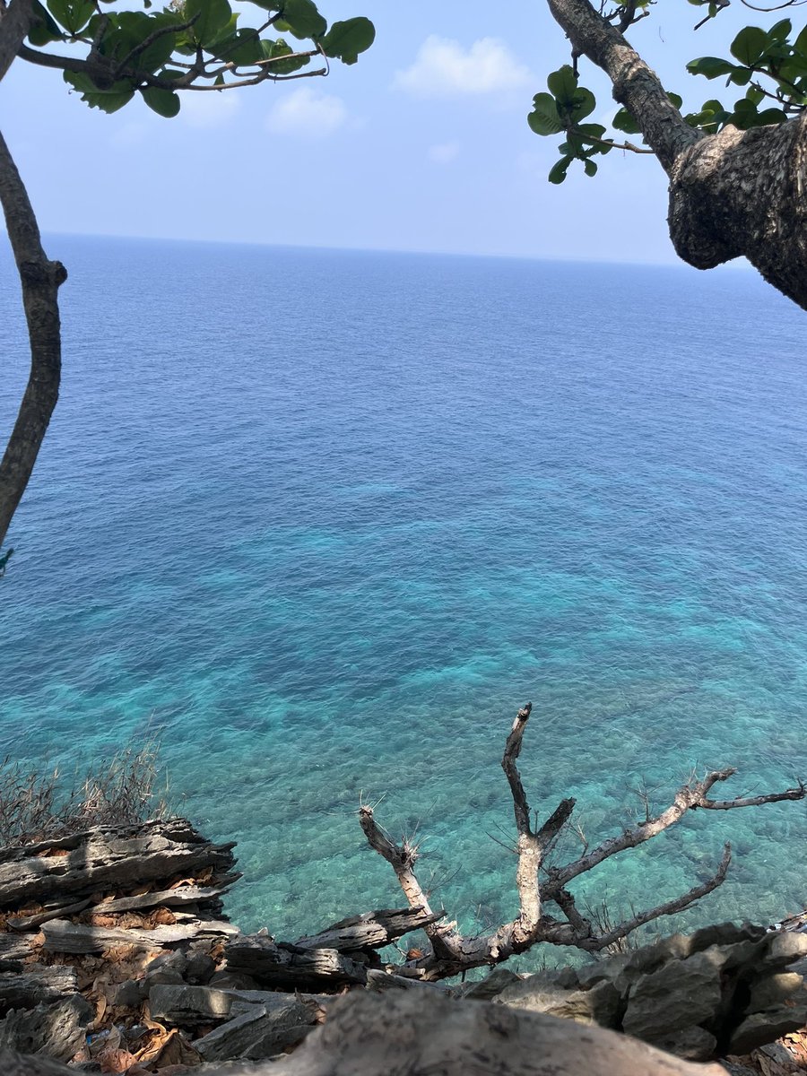 zHelY69's tweet image. Good morning 
@SenderLabs 
Don’t forget to engage everyone 
#SenderLabDAO #SenderLabs