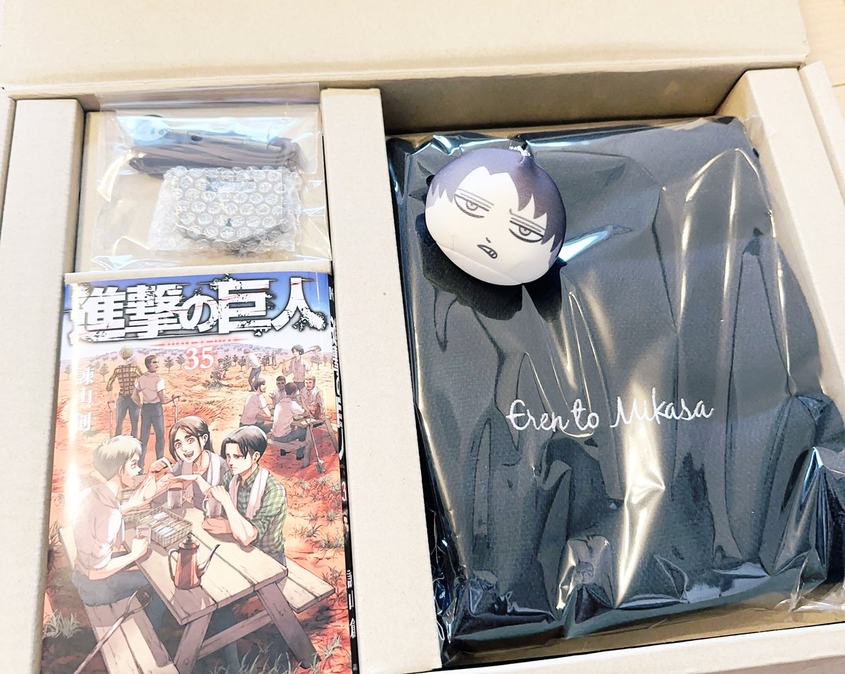 進撃の巨人 画集FLY届いて今までにないスピードで開封して35巻悪童読ん