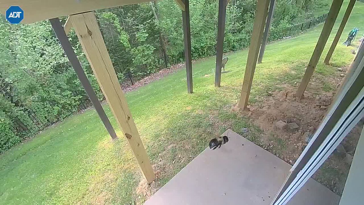 Terri Collins-Swain tweet media