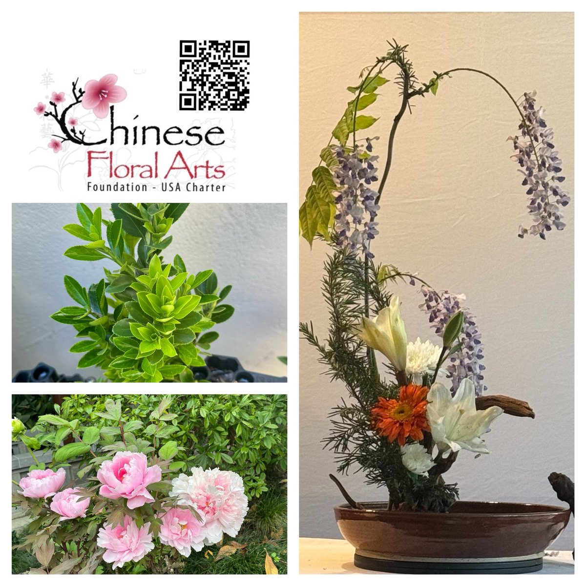 ChineseFloral's tweet photo. #chinesefloralarts #cfafusacharter #handsoncultures #beascholarforaday https://t.co/YzXTlCoc5N