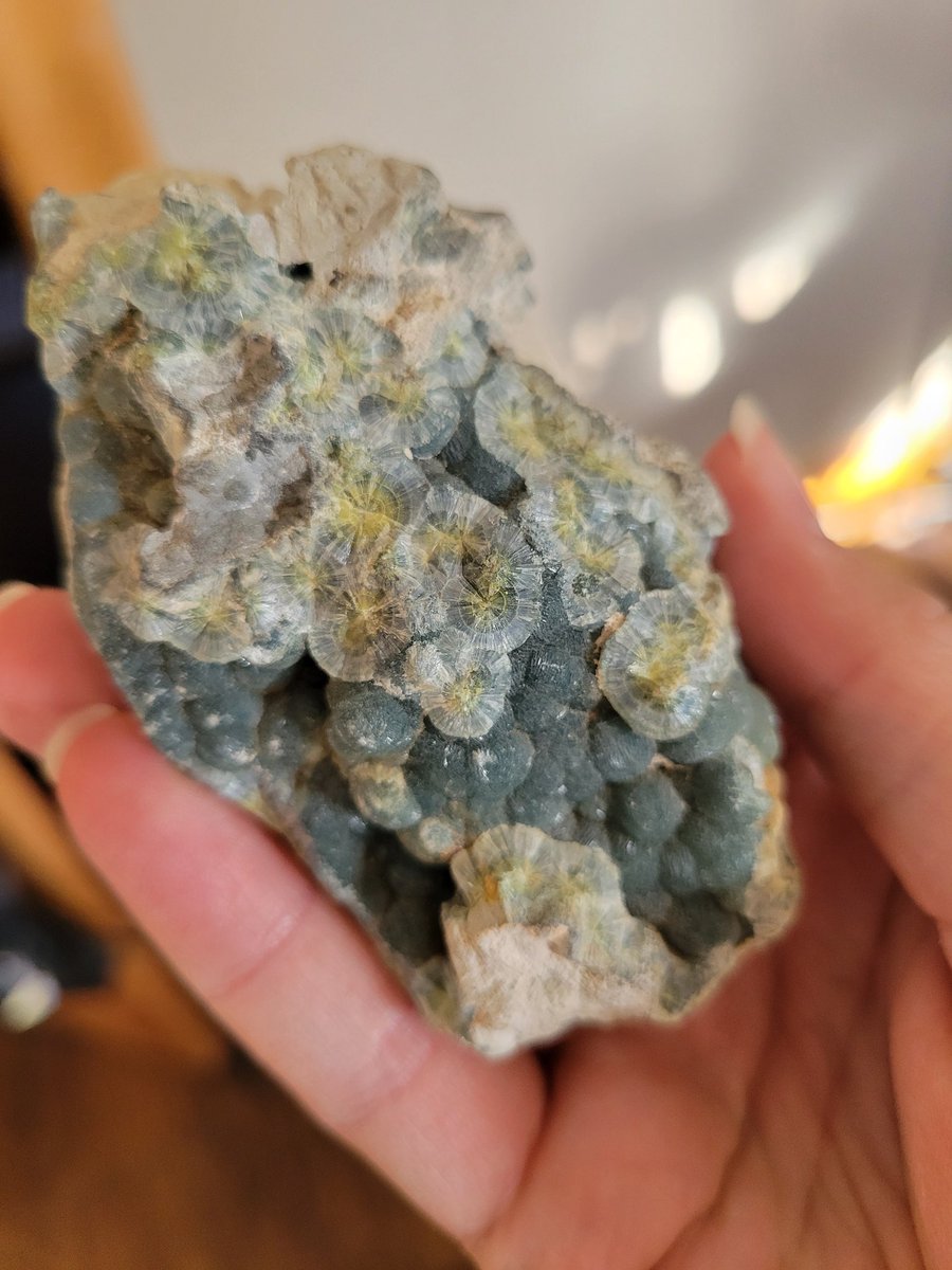 @GeologyTime Ugh I love Wavellite. Such a pretty green ;-;
I wish mine had more of that yellowish green coloration