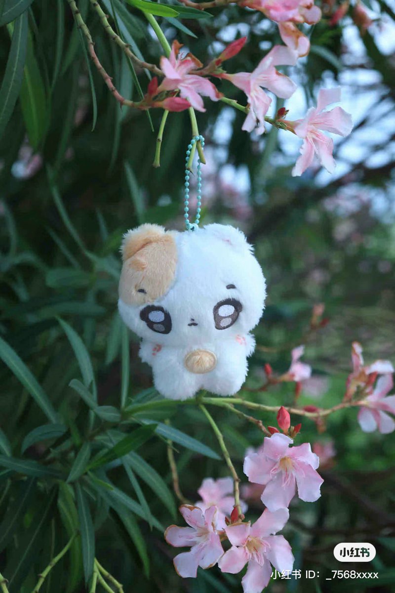 Morning 🐹
 #Heangwoonnie #heeseung #ENHYPEN_HEESEUNG